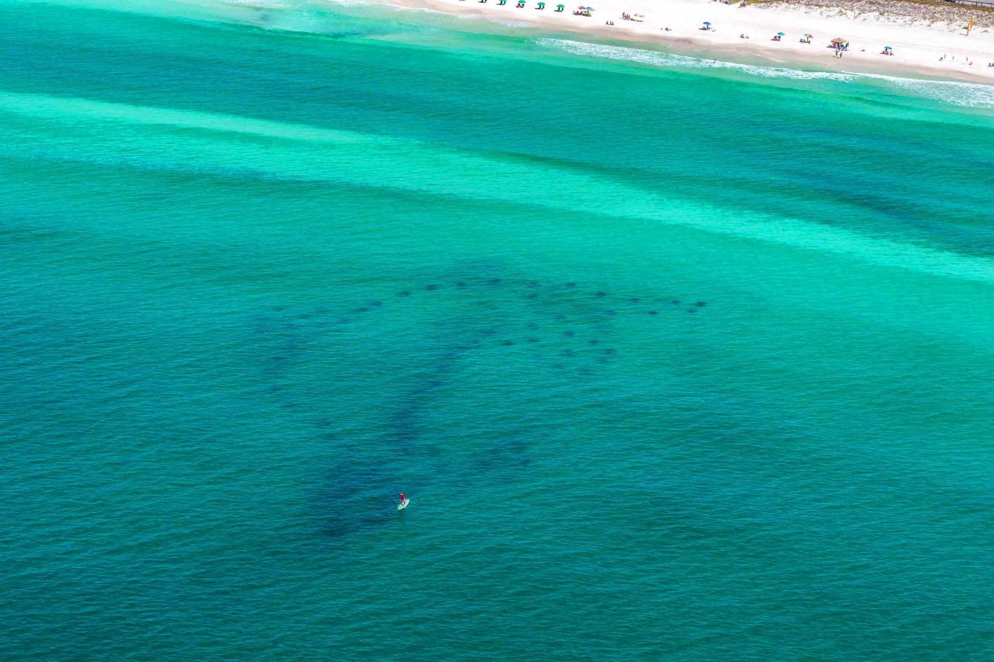 Stay Anchored Destin Eksteriør bilde